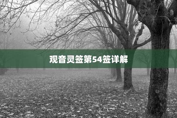 观音灵签第54签详解