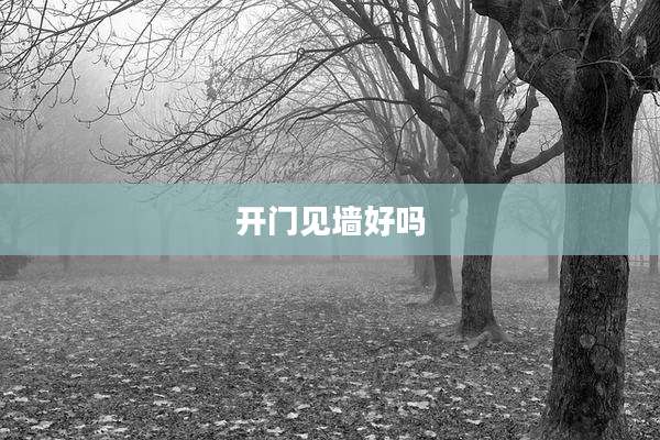 开门见墙好吗