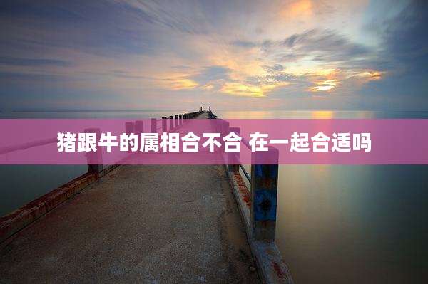 猪跟牛的属相合不合 在一起合适吗