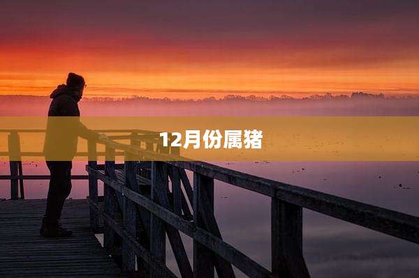 12月份属猪