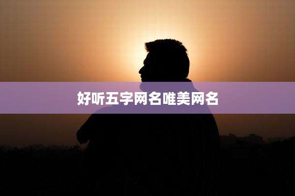 好听五字网名唯美网名