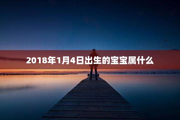 2018年1月4日出生的宝宝属什么
