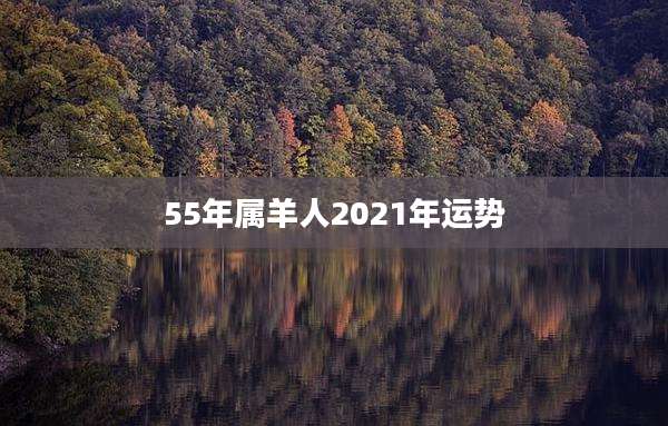 55年属羊人2021年运势
