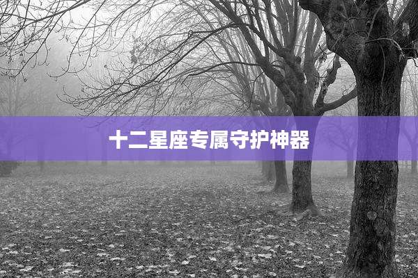 十二星座专属守护神器