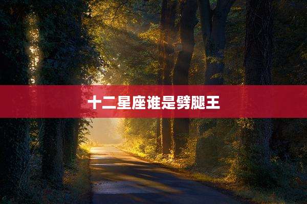 十二星座谁是劈腿王