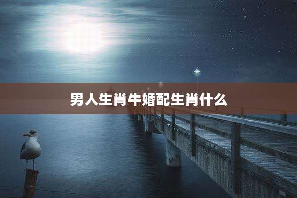 男人生肖牛婚配生肖什么