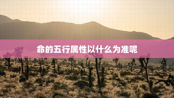 命的五行属性以什么为准呢