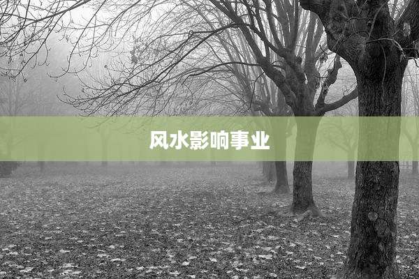 风水影响事业