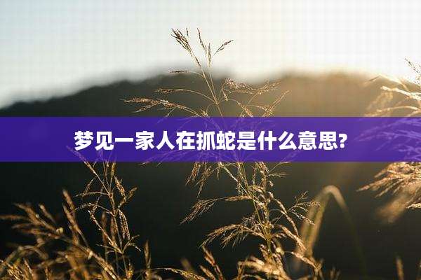 梦见一家人在抓蛇是什么意思?