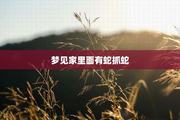 梦见家里面有蛇抓蛇