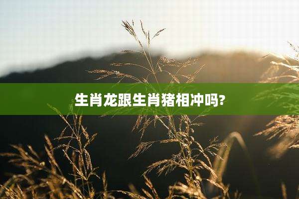 生肖龙跟生肖猪相冲吗?