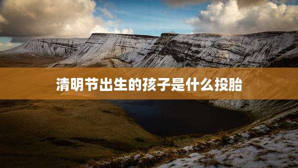 清明节出生的孩子是什么投胎