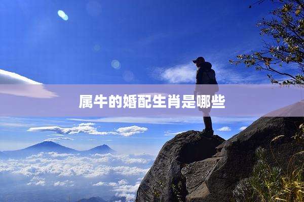 属牛的婚配生肖是哪些