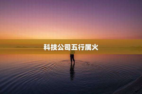 科技公司五行属火