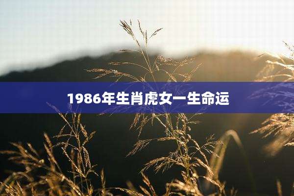 1986年生肖虎女一生命运