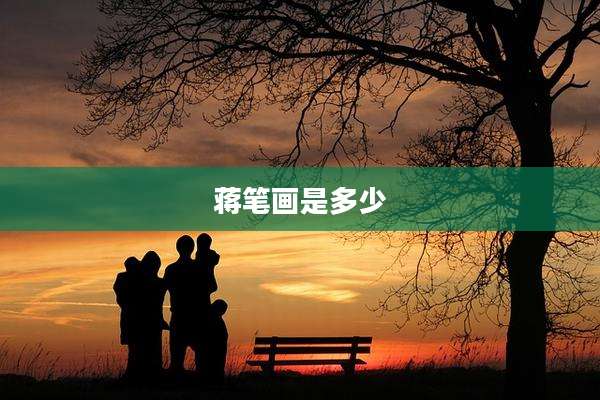 蒋笔画是多少