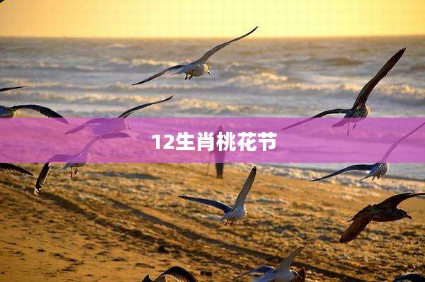 12生肖桃花节