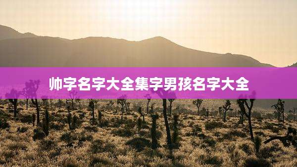 帅字名字大全集字男孩名字大全