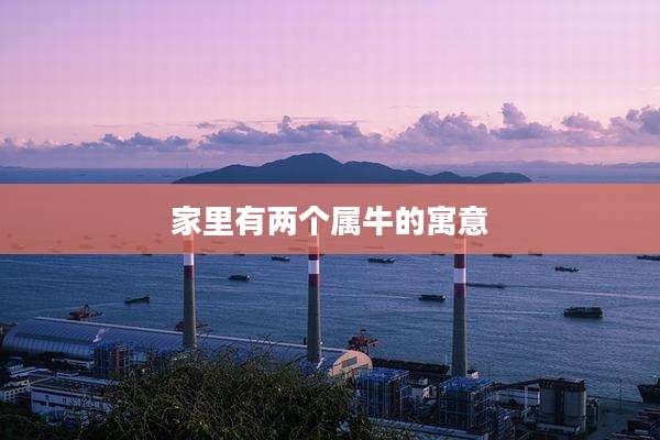 家里有两个属牛的寓意