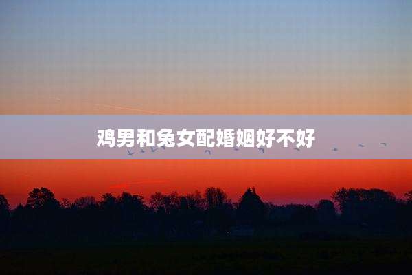 鸡男和兔女配婚姻好不好
