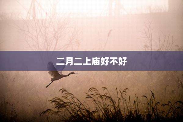 二月二上庙好不好