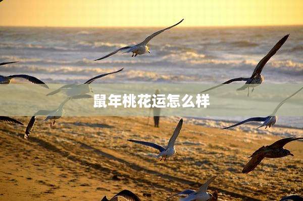 鼠年桃花运怎么样