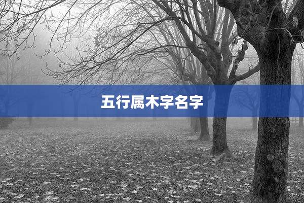 五行属木字名字