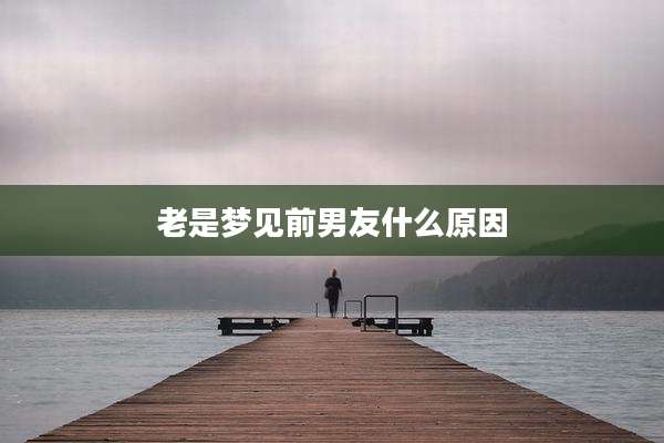 老是梦见前男友什么原因
