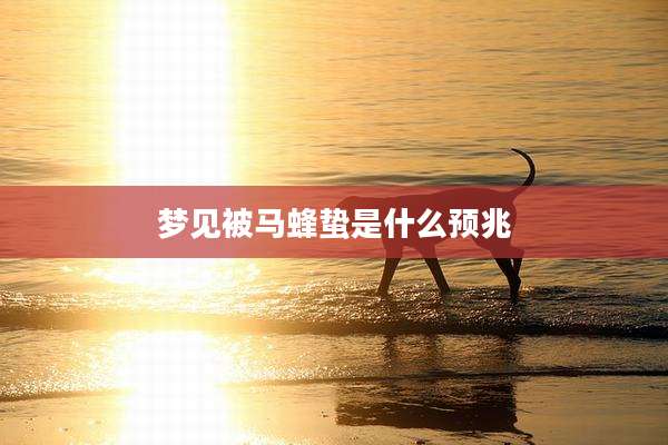 梦见被马蜂蛰是什么预兆
