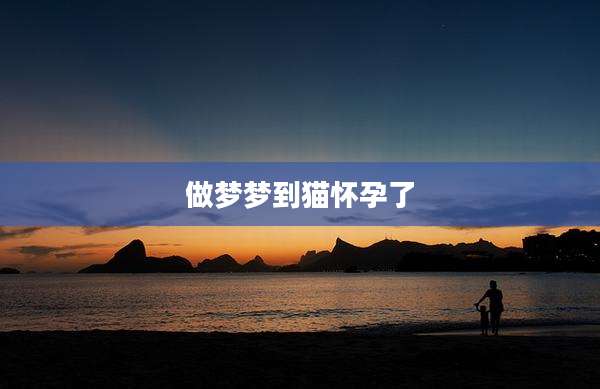 做梦梦到猫怀孕了