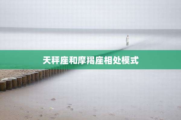 天秤座和摩羯座相处模式