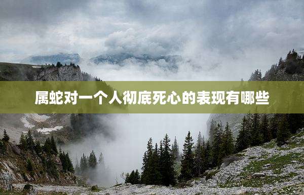 属蛇对一个人彻底死心的表现有哪些