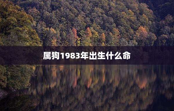 属狗1983年出生什么命
