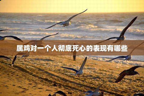 属鸡对一个人彻底死心的表现有哪些