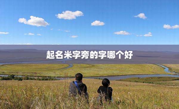 起名米字旁的字哪个好