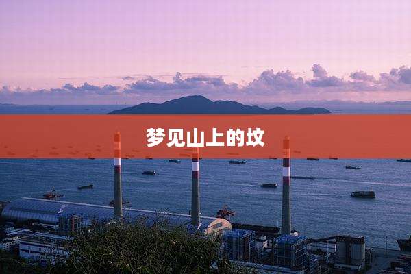 梦见山上的坟