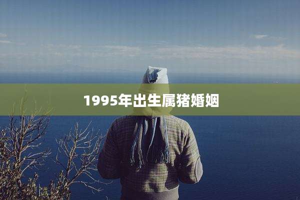 1995年出生属猪婚姻