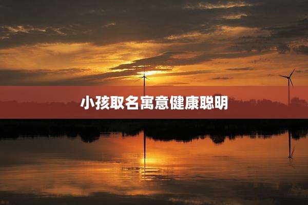 小孩取名寓意健康聪明
