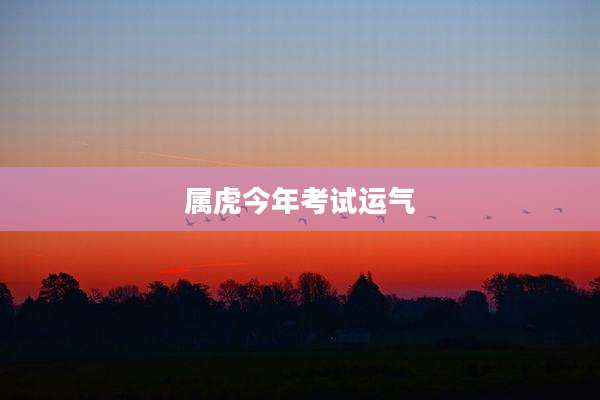 属虎今年考试运气