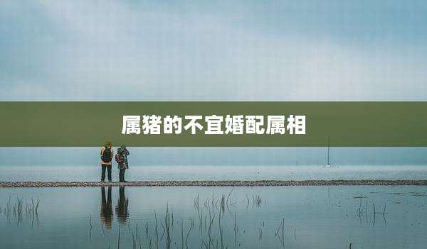 属猪的不宜婚配属相