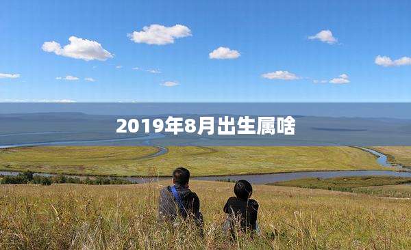 2019年8月出生属啥