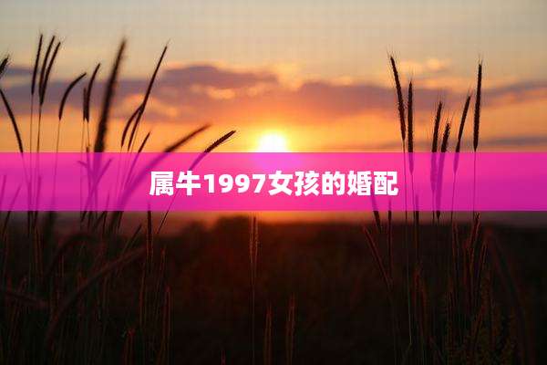 属牛1997女孩的婚配