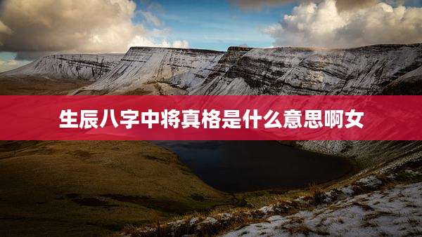 生辰八字中将真格是什么意思啊女