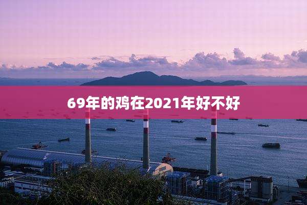 69年的鸡在2021年好不好