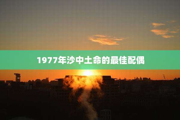 1977年沙中土命的最佳配偶