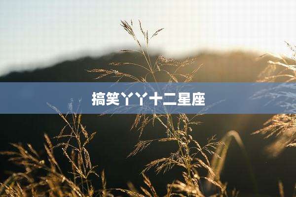 搞笑丫丫十二星座