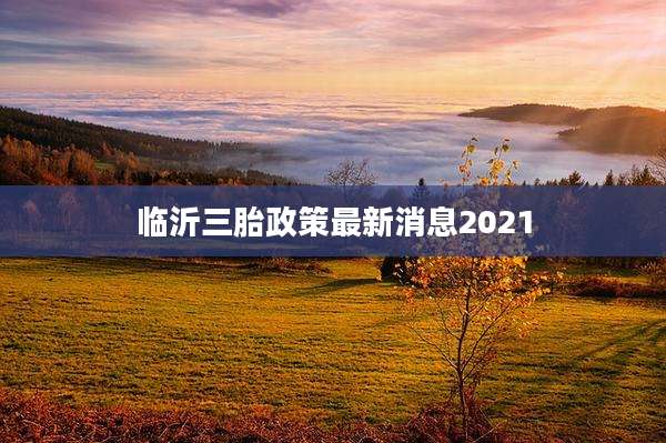 临沂三胎政策最新消息2021