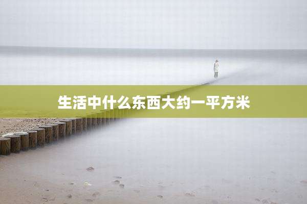 生活中什么东西大约一平方米