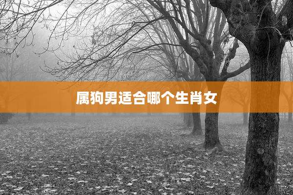 属狗男适合哪个生肖女