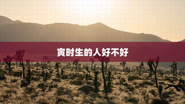 寅时生的人好不好